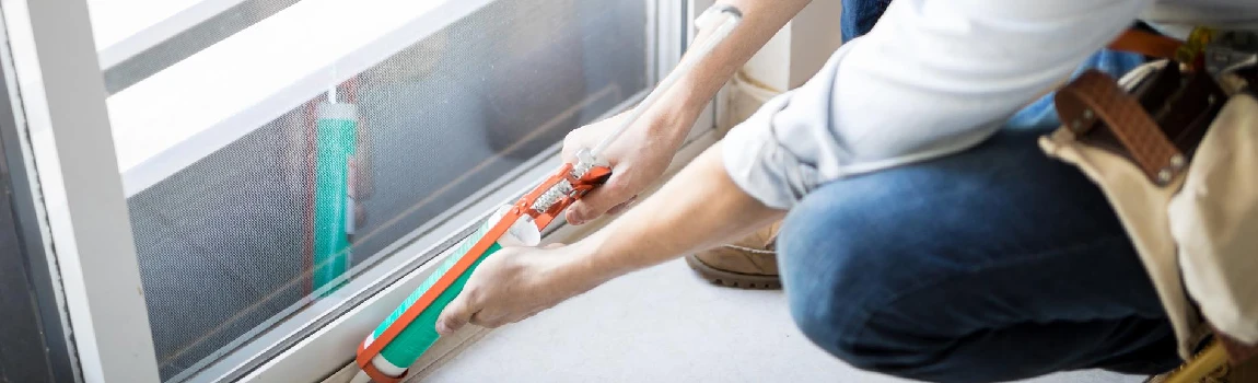 Emergency Window Replacement Services in Alafaya