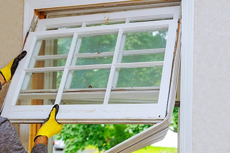Window Replacement in Alafaya